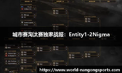 城市赛淘汰赛独家战报：Entity1-2Nigma